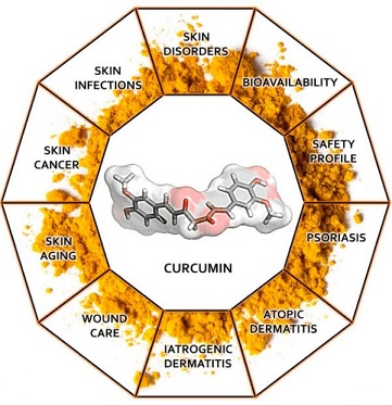 curcumin Application.jpg curcumin Application.jpg